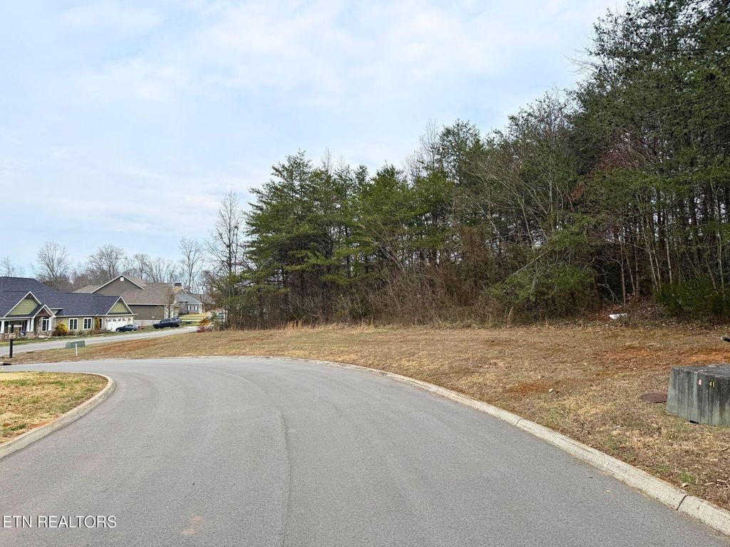 Photo of 93 Red Wing Drive, Vonore, TN 37885 (MLS # 1331112)