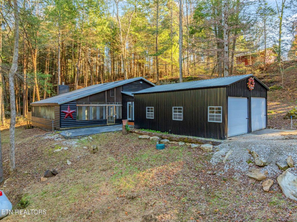 Photo of 135 White Creek Court, Deer Lodge, TN 37726 (MLS # 1323854)