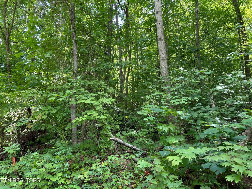 Photo of Pearl Ln lot 26 Lane, Maynardville, TN 37807 (MLS # 1273620)