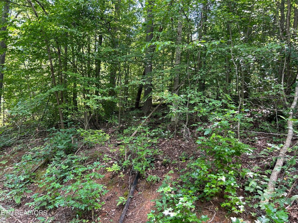 Photo of Pearl Ln lot 26 Lane, Maynardville, TN 37807 (MLS # 1273620)