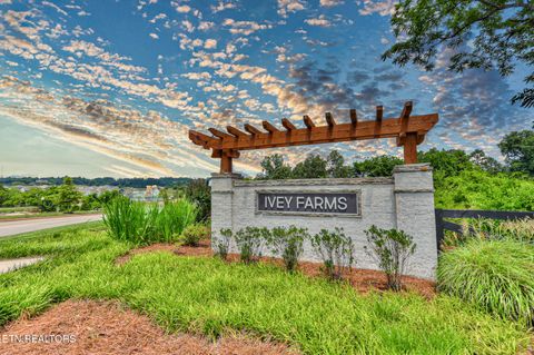 Tiny photo for 516 Ivey Farms Road (Lot 87), Farragut, TN 37934 (MLS # 1329924)