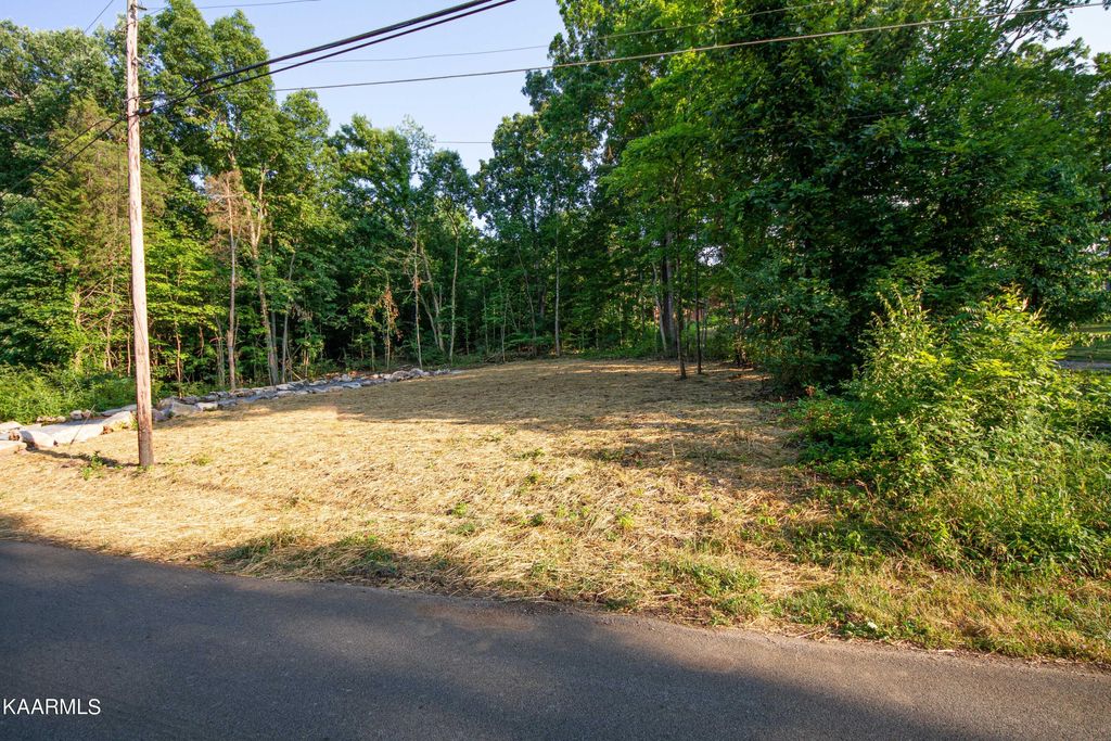 Photo of 3623 Channel Drive, Louisville, TN 37777 (MLS # 1229739)