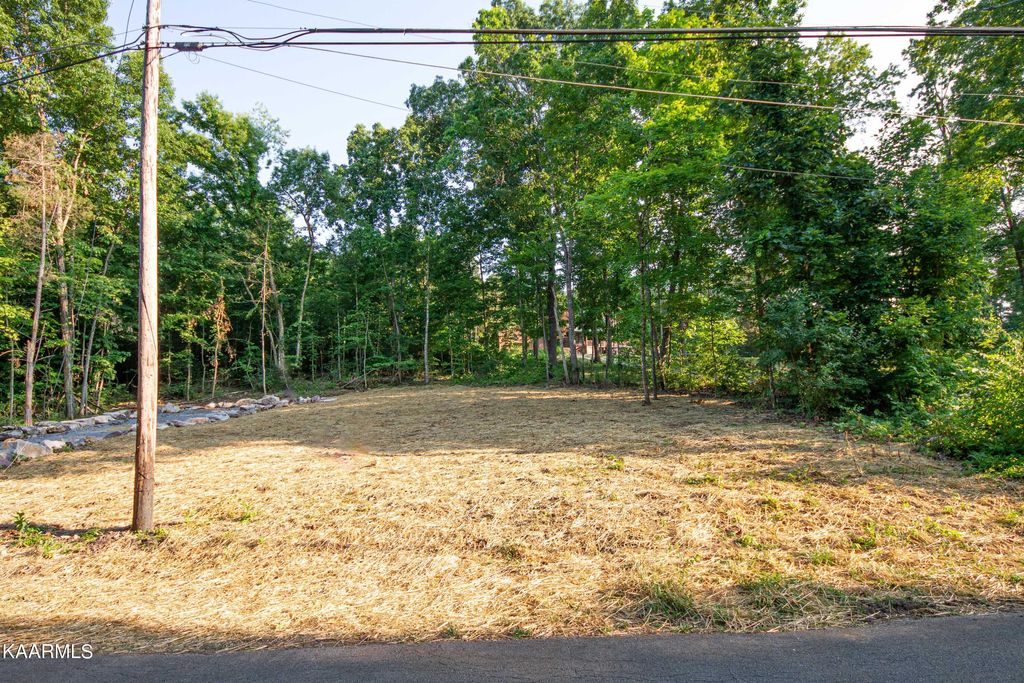 Photo of 3623 Channel Drive, Louisville, TN 37777 (MLS # 1229739)