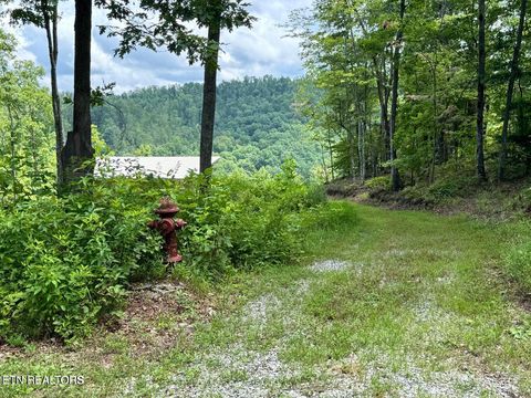 Photo of 1291 Buck Lane, Crawford, TN 38554 (MLS # 1329482)