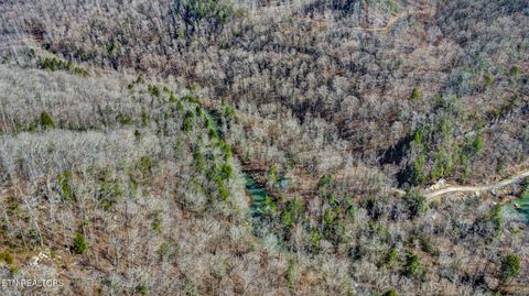 Tiny photo for 1291 Buck Lane, Crawford, TN 38554 (MLS # 1329482)