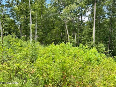 Tiny photo for 1291 Buck Lane, Crawford, TN 38554 (MLS # 1329482)