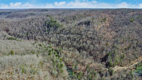 Tiny photo for 1291 Buck Lane, Crawford, TN 38554 (MLS # 1329482)