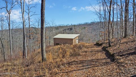 Tiny photo for 1291 Buck Lane, Crawford, TN 38554 (MLS # 1329482)