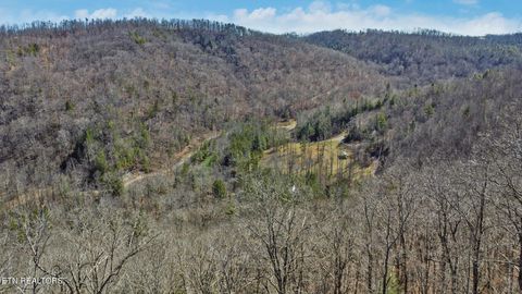 Tiny photo for 1291 Buck Lane, Crawford, TN 38554 (MLS # 1329482)