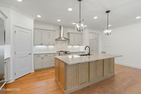 Tiny photo for 148 Nunyu Tr, Vonore, TN 37885 (MLS # 1317484)