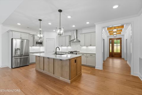 Tiny photo for 148 Nunyu Tr, Vonore, TN 37885 (MLS # 1317484)