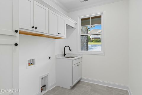 Tiny photo for 148 Nunyu Tr, Vonore, TN 37885 (MLS # 1317484)