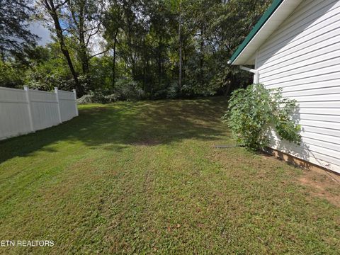 Tiny photo for 162 Andy Baird DR Drive, LaFollette, TN 37766 (MLS # 1316982)