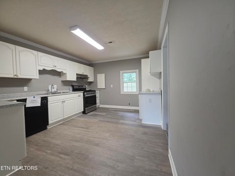 Tiny photo for 162 Andy Baird DR Drive, LaFollette, TN 37766 (MLS # 1316982)