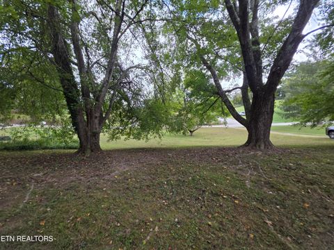 Tiny photo for 162 Andy Baird DR Drive, LaFollette, TN 37766 (MLS # 1316982)