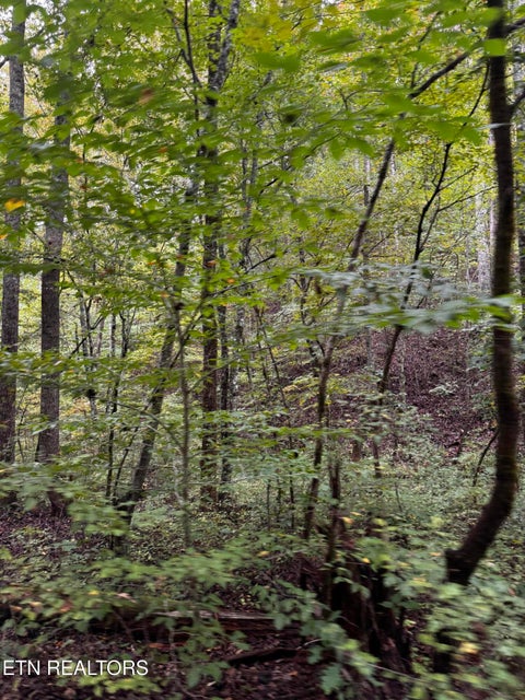 Tiny photo for Decatur Hwy, Kingston, TN 37763 (MLS # 1359466)