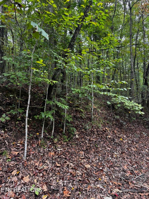Tiny photo for Decatur Hwy, Kingston, TN 37763 (MLS # 1359466)