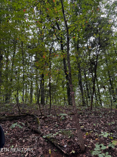 Tiny photo for Decatur Hwy, Kingston, TN 37763 (MLS # 1359466)