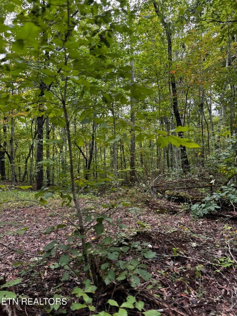 Tiny photo for Decatur Hwy, Kingston, TN 37763 (MLS # 1359466)