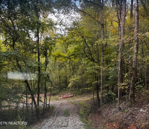 Tiny photo for Decatur Hwy, Kingston, TN 37763 (MLS # 1359466)