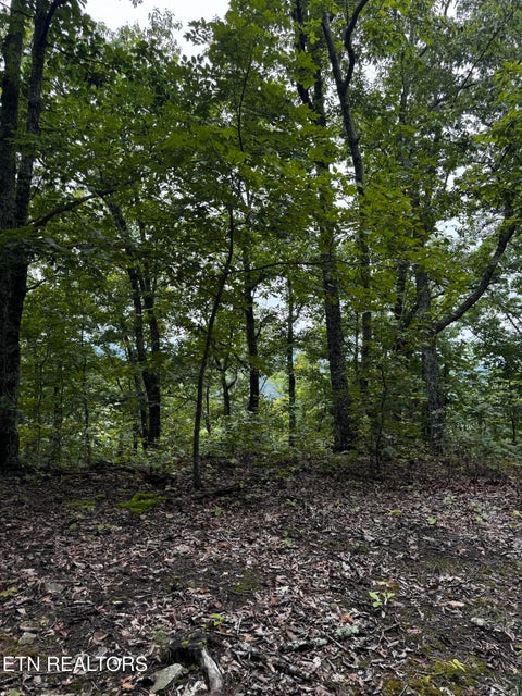 Tiny photo for Decatur Hwy, Kingston, TN 37763 (MLS # 1359466)