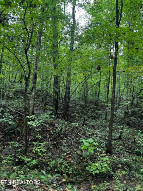 Tiny photo for Decatur Hwy, Kingston, TN 37763 (MLS # 1359466)