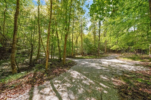 Tiny photo for Decatur Hwy, Kingston, TN 37763 (MLS # 1359466)
