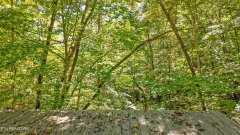 Tiny photo for Decatur Hwy, Kingston, TN 37763 (MLS # 1359466)