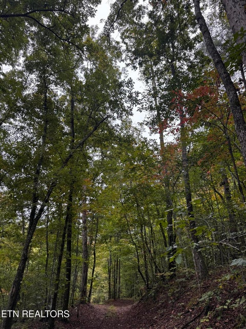 Tiny photo for Decatur Hwy, Kingston, TN 37763 (MLS # 1359466)