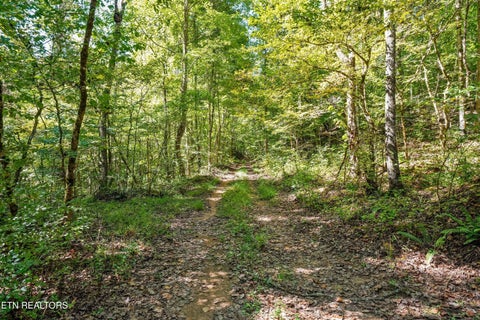 Tiny photo for Decatur Hwy, Kingston, TN 37763 (MLS # 1359466)