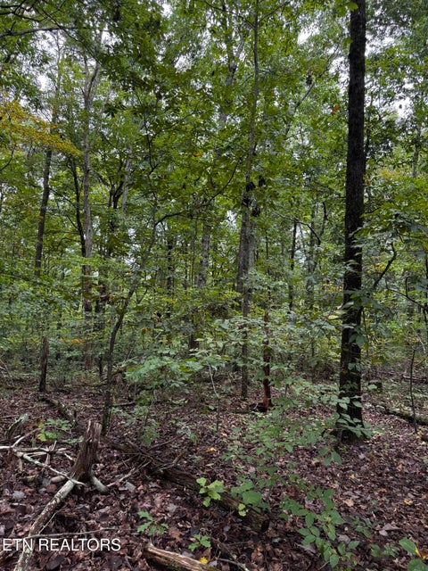 Tiny photo for Decatur Hwy, Kingston, TN 37763 (MLS # 1359466)
