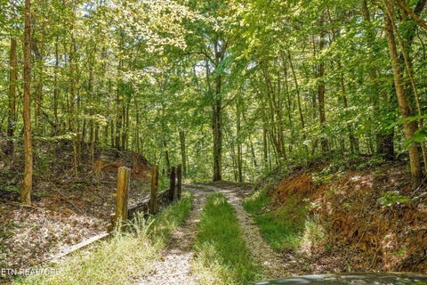 Tiny photo for Decatur Hwy, Kingston, TN 37763 (MLS # 1359466)