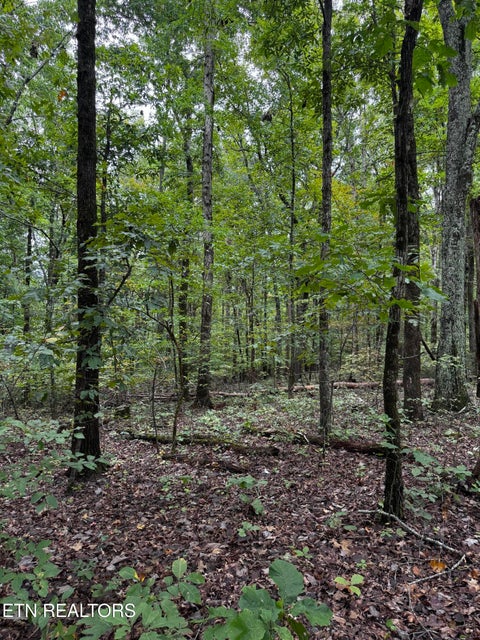 Tiny photo for Decatur Hwy, Kingston, TN 37763 (MLS # 1359466)