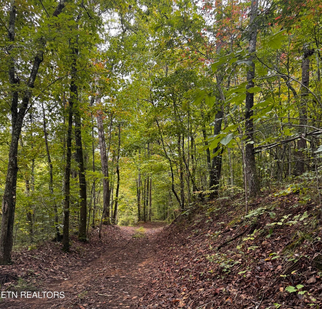 Photo of Decatur Hwy, Kingston, TN 37763 (MLS # 1359466)