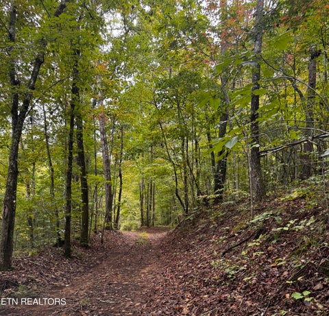 Photo of Decatur Hwy, Kingston, TN 37763 (MLS # 1359466)