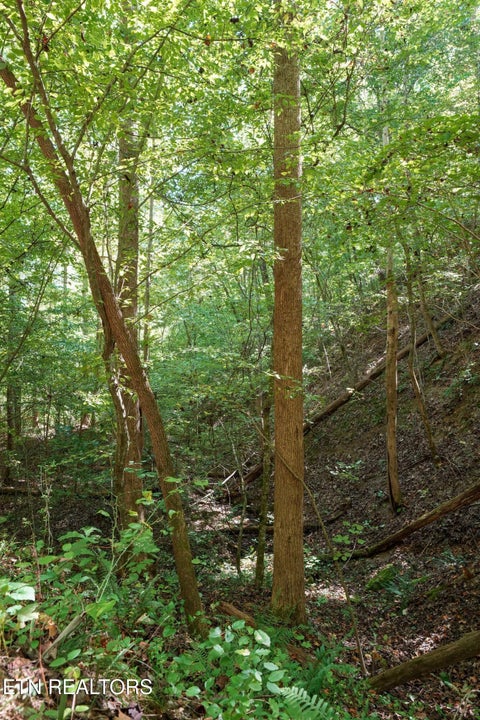 Tiny photo for Decatur Hwy, Kingston, TN 37763 (MLS # 1359466)