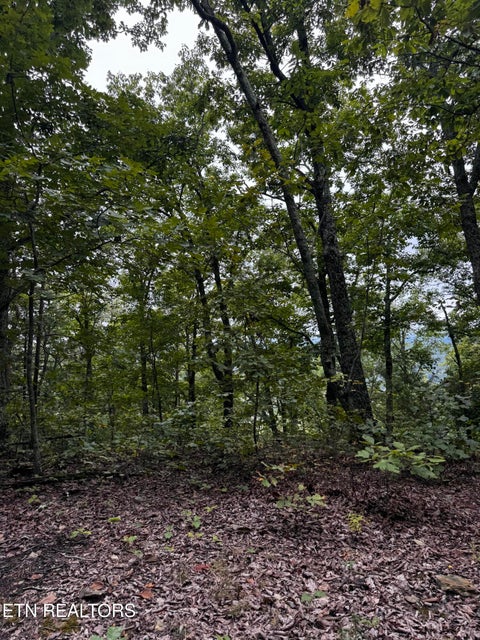 Tiny photo for Decatur Hwy, Kingston, TN 37763 (MLS # 1359466)