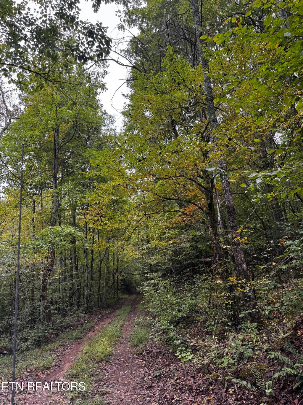 Photo of Decatur Hwy, Kingston, TN 37763 (MLS # 1359466)