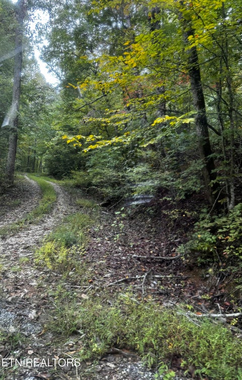 Tiny photo for Decatur Hwy, Kingston, TN 37763 (MLS # 1359466)