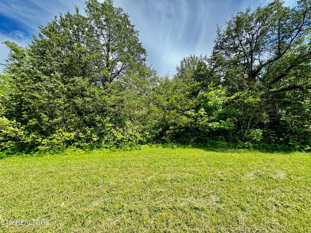 Photo of 2 Tazewell Pike, Corryton, TN 37721 (MLS # 1263854)