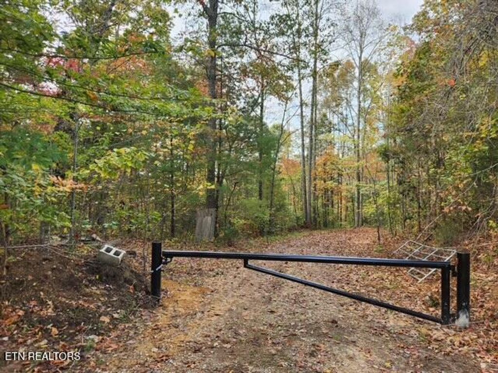 Photo of 50 Dogwood Rd, Grandview, TN 37337 (MLS # 1339371)