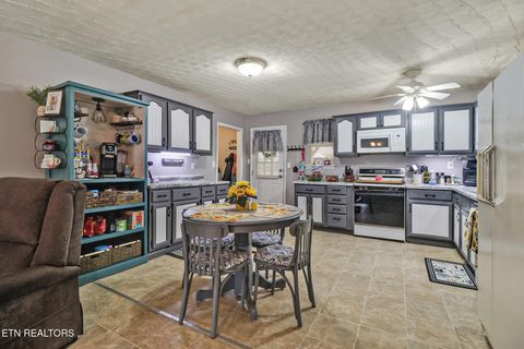 Tiny photo for 239 Doc Huling Rd, Robbins, TN 37852 (MLS # 1333563)