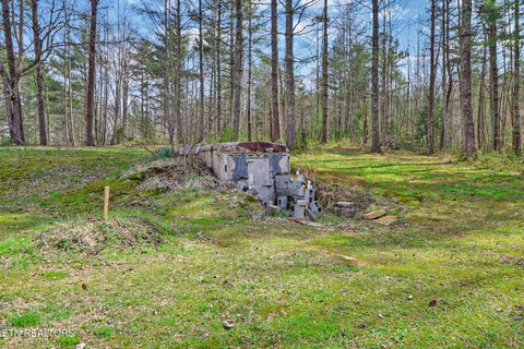 Tiny photo for 239 Doc Huling Rd, Robbins, TN 37852 (MLS # 1333563)