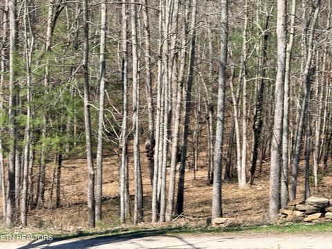 Tiny photo for 239 Doc Huling Rd, Robbins, TN 37852 (MLS # 1333563)