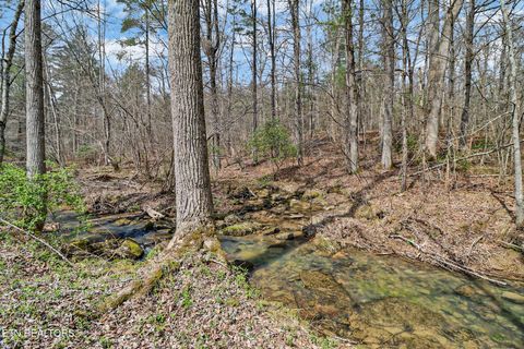 Tiny photo for 239 Doc Huling Rd, Robbins, TN 37852 (MLS # 1333563)