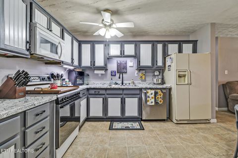 Tiny photo for 239 Doc Huling Rd, Robbins, TN 37852 (MLS # 1333563)