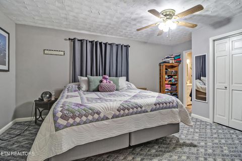 Tiny photo for 239 Doc Huling Rd, Robbins, TN 37852 (MLS # 1333563)