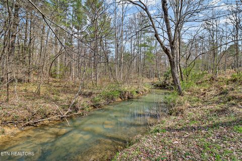 Tiny photo for 239 Doc Huling Rd, Robbins, TN 37852 (MLS # 1333563)