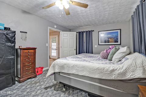 Tiny photo for 239 Doc Huling Rd, Robbins, TN 37852 (MLS # 1333563)