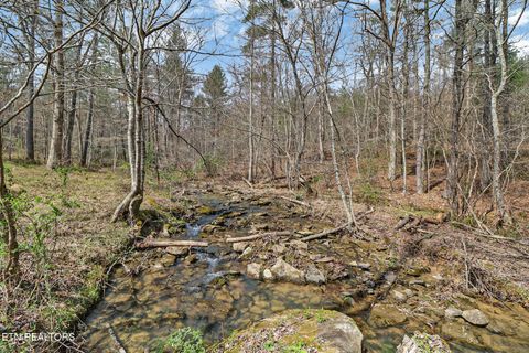 Tiny photo for 239 Doc Huling Rd, Robbins, TN 37852 (MLS # 1333563)